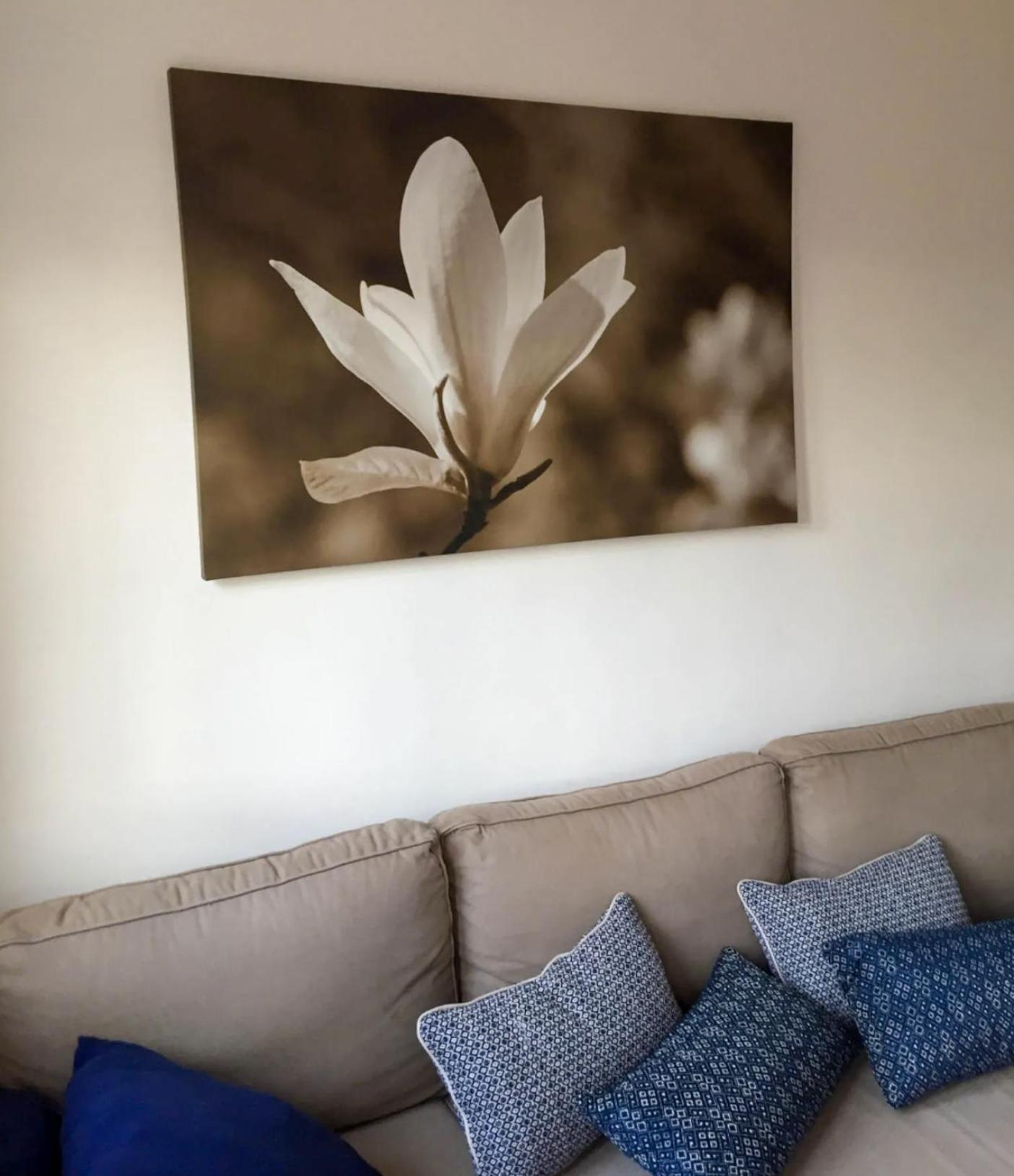Apartmán Cielo Azul Campoamor Exteriér fotografie